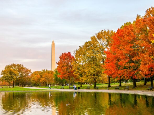 Fall foliage around the Washington Monument.
