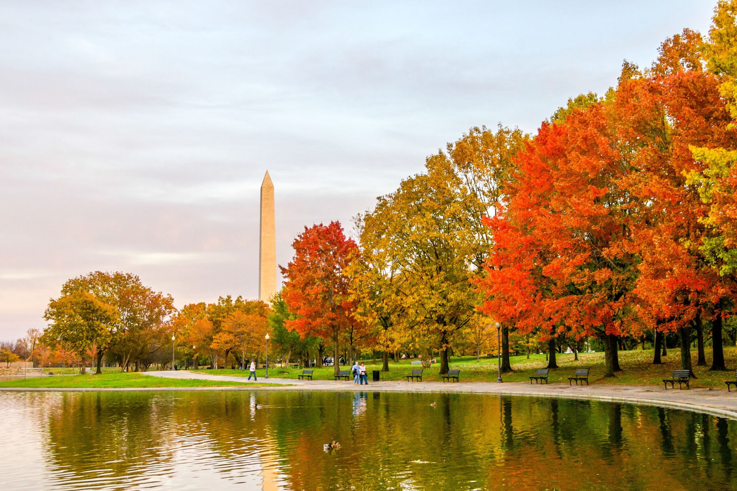Fall foliage around the Washington Monument.